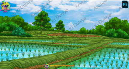Paddy Field Background