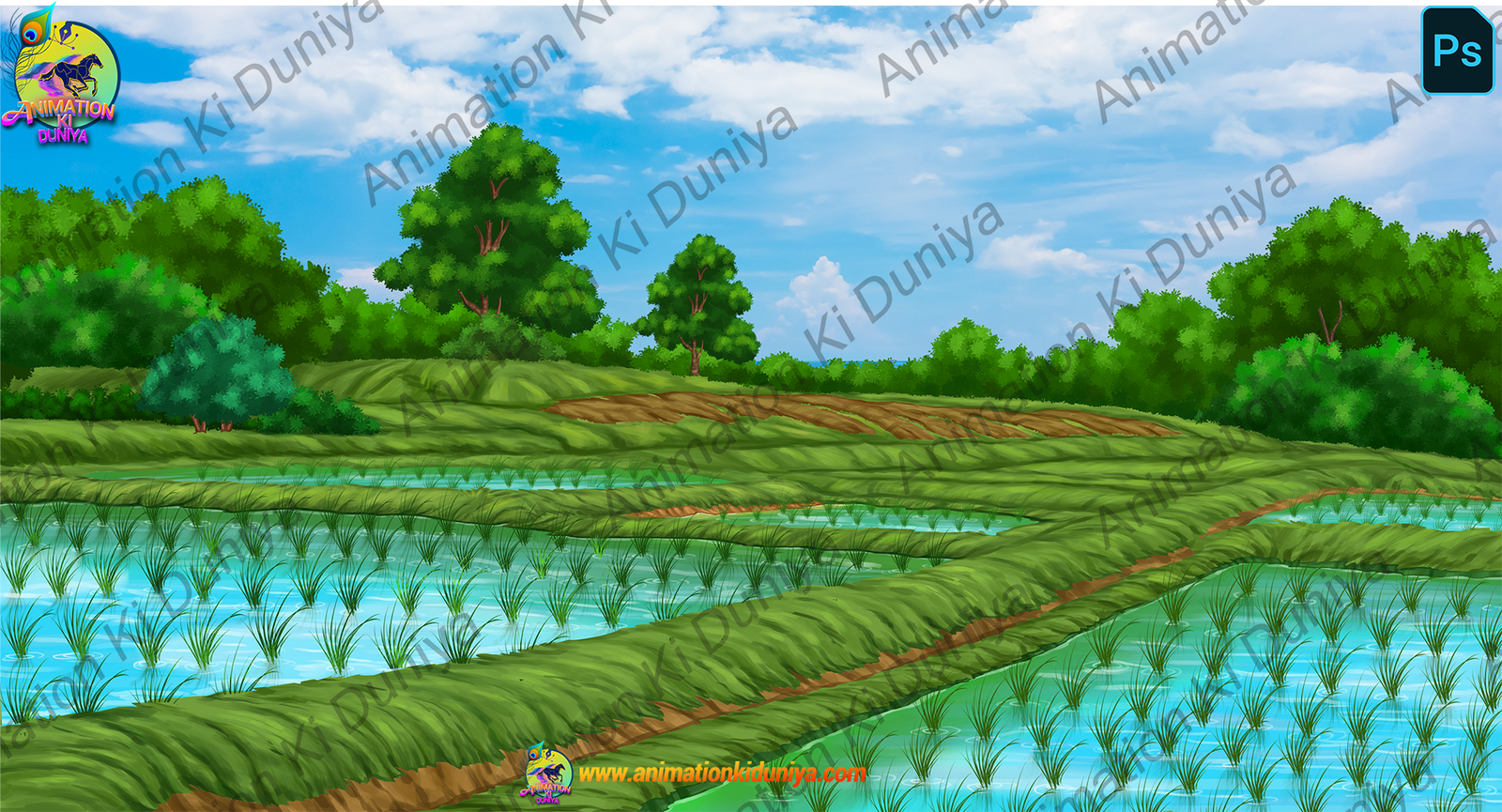 Paddy Field Background