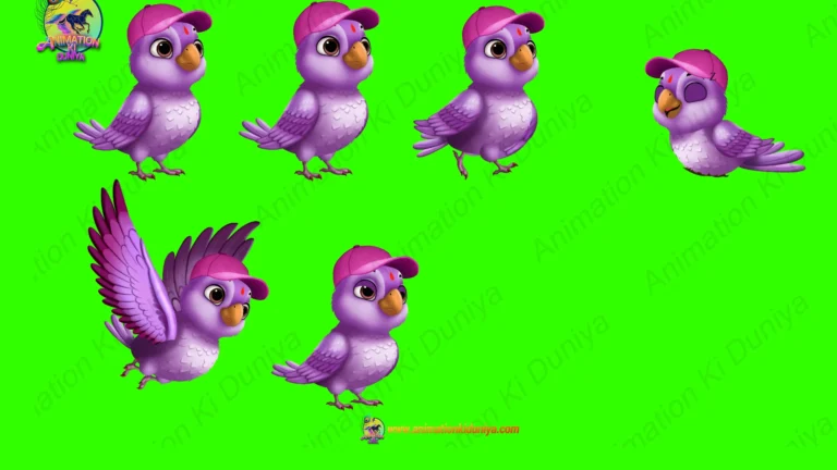 Green Screen Husband Bird Character with Cap Multi-Pose Video | Animation Ki Duniya