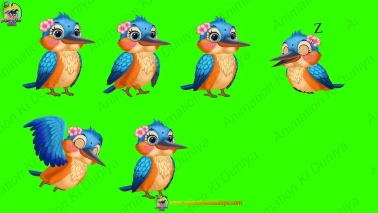 Green Screen Kingfisher Bird Character Multi-Pose Video | Animation Ki Duniya
