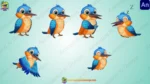 21+ Cute Cartoon Birds Bundle | Animation Ki Duniya - Image 20