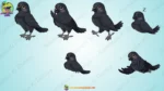 21+ Cute Cartoon Birds Bundle | Animation Ki Duniya - Image 32