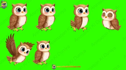 Green Screen Animated Owl Bird Character Multi-Pose Video| Animation Ki Duniya