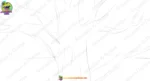 Cartoon Jungle Tree Branches ( Dal tree birds background ) and Canopy Background PSD - Image 2