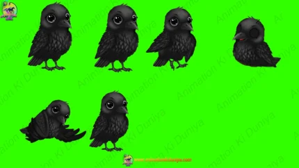 Green Screen Animated Crow Child Bird Character Multi-Pose Video | Animation Ki Duniya