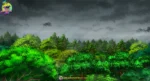 Rainy Forest ( Birds , Top View Jungle ) and Dark Stormy Sky PSD Background | Animation Ki Duniya