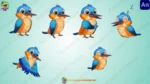 Blue & Orange Kingfisher Bird Animation Rig - Image 6