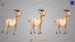2D Cartoon Goat ( Bakri ) Character