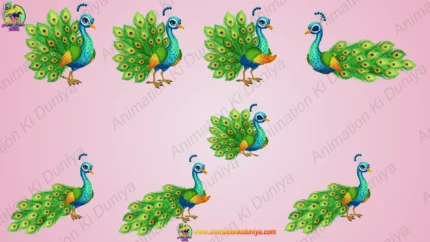 Cute Peacock Character Rigged FLA File | Mor / National Bird Peacock