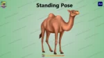 Cartoon Camel Character Vector Source File (FLA File) - Image 4