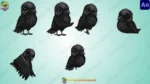 Cute Baby Crow Character Rigged FLA File