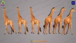 2D Cartoon Giraffe Character - Adobe Animate CC (.FLA)