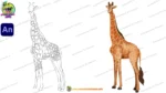 2D Cartoon Giraffe Character - Adobe Animate CC (.FLA) - Image 5