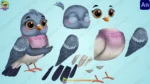 Cute Pink Neck Pigeon Character Rigged FLA File | Kabootar / Cartoon Pigeon Bird - Image 2