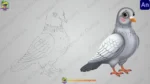 Cute Pigeon Character Rigged FLA File | Kabootar / White & Grey Pigeon Bird - Image 2