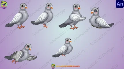Cute Pigeon Character Rigged FLA File | Kabootar / White & Grey Pigeon Bird