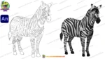 2D Cartoon Zebra Character Sheet - Image 3